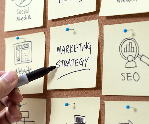 SEO Plans Crafted For Sustainable Growth